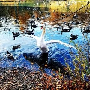 Meet your Posher, Michael